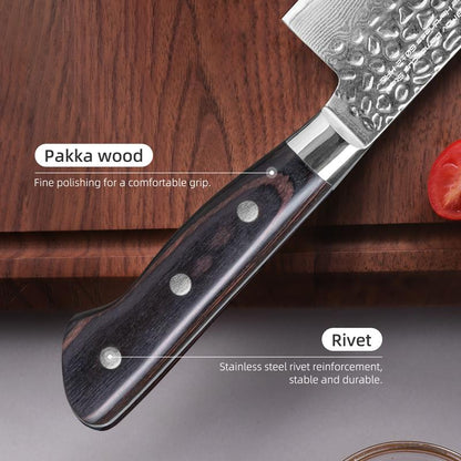 FINDKING 8-Inch Gyuto Chef Knife