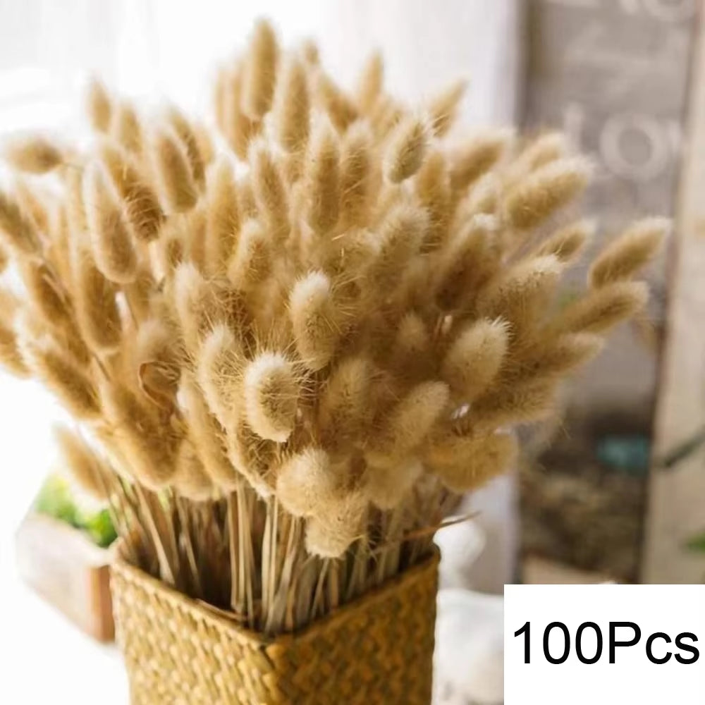 105Pcs Natural Dried Flowers Pampas Floral Bouquet Boho Country Home Decoration Rabbit Tail Grass Reed Wedding Decor Arrangement